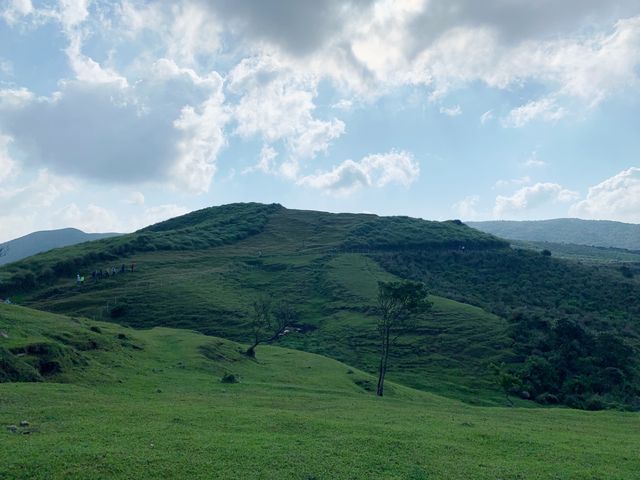 台北陽明山景點推薦｜國家級濕地夢幻湖，像仙境般的秘境