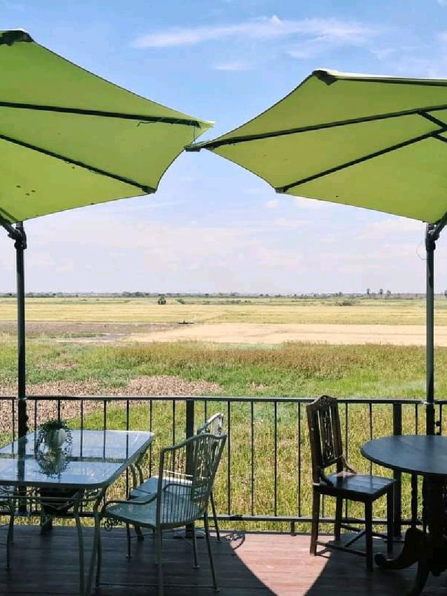 Set Arts and Props Cafe & Bistro 🌹