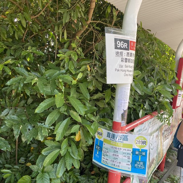 麥理浩徑行山首選