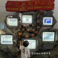 免費動物全接觸