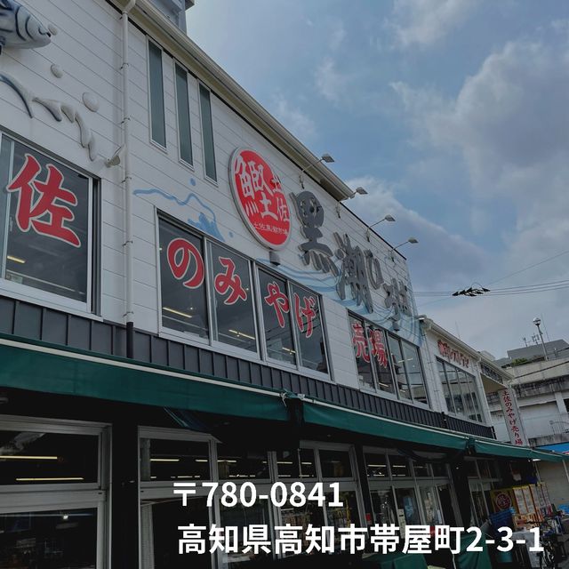 カツオを食べに高知へ👍