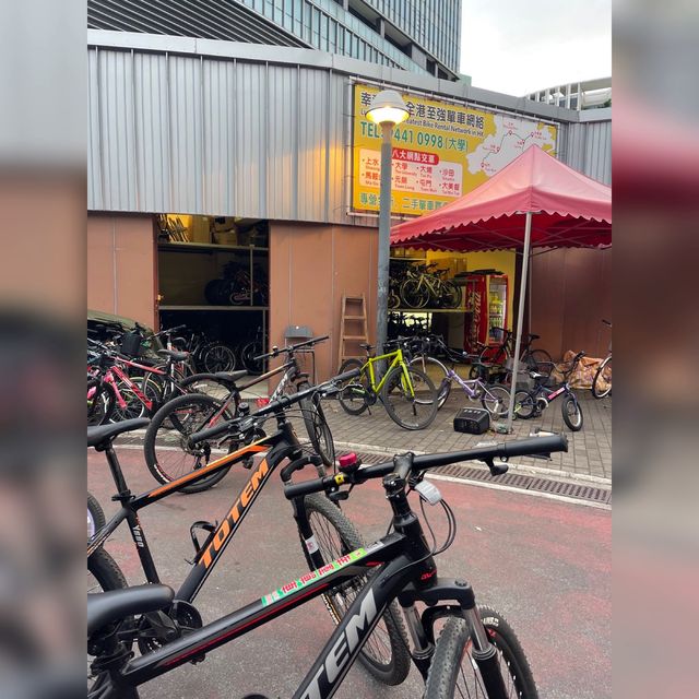 放監啦！瘋狂踩單車🚴‍♀️🤣
