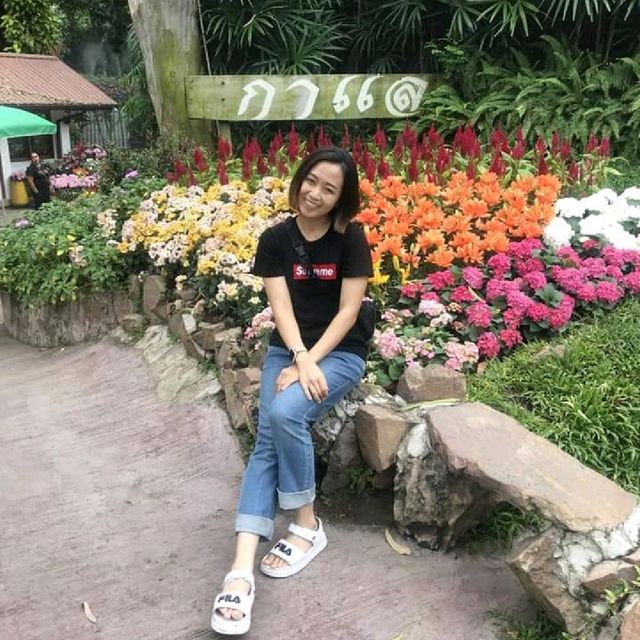 อลังการสวนดอกไม้ในเมืองเชียงใหม่