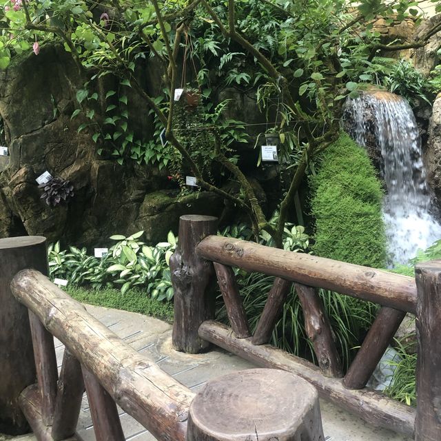 熱帶植物展覽館