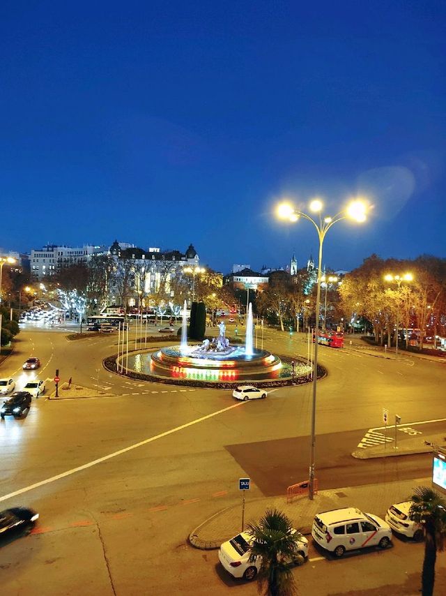 Exquisite Palace in Madrid