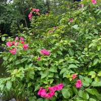荔枝角公園