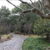 复兴岛公园 漫步随拍
