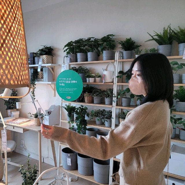 이케아 고양 시원한 실내데이트 🌊
