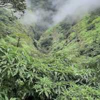 Palshe waterfall Tamini ghat in Pune 