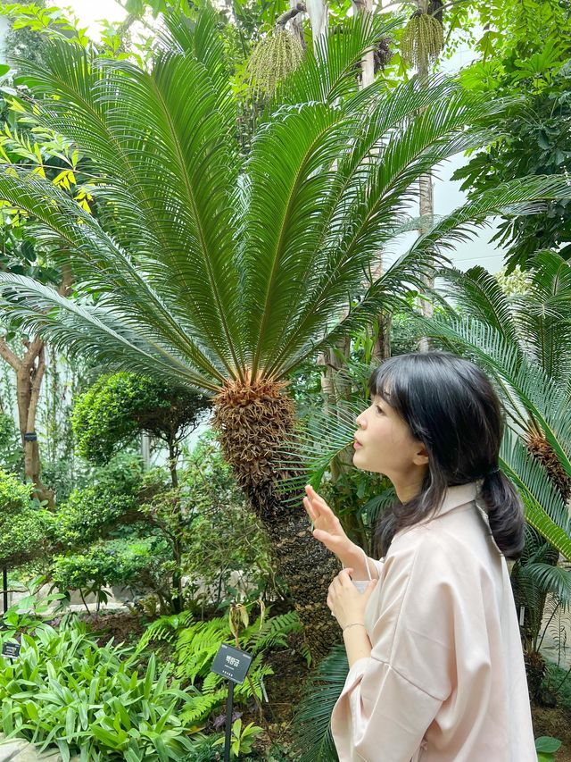 향긋한 풀내음과 힐링하기 좋은 실내데이트 코스🌿