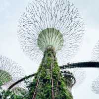 Gardens by the Bay