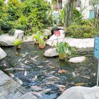 Family friendly and business travellers hotel