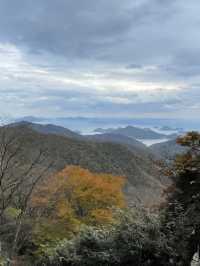 [경남/남해]남해의 핫플 보리암까지 단풍구경겸 등산하기🍁