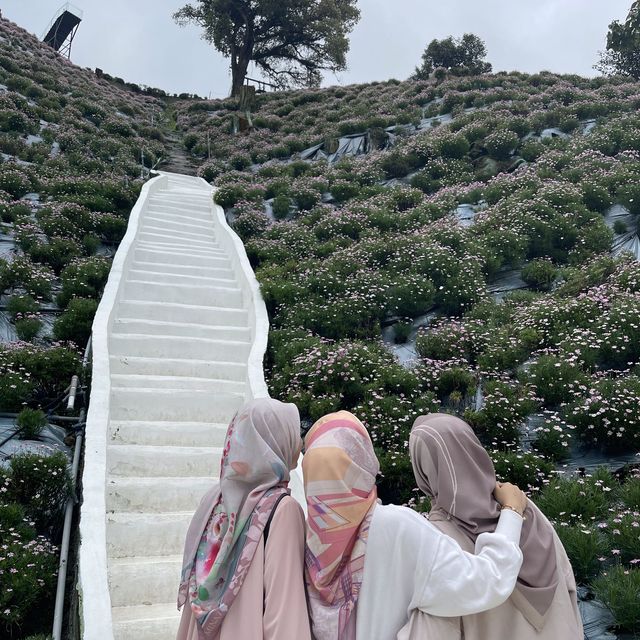 Perfect spot for ootd at Cameron Highland!