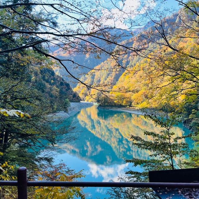 楓葉絕景