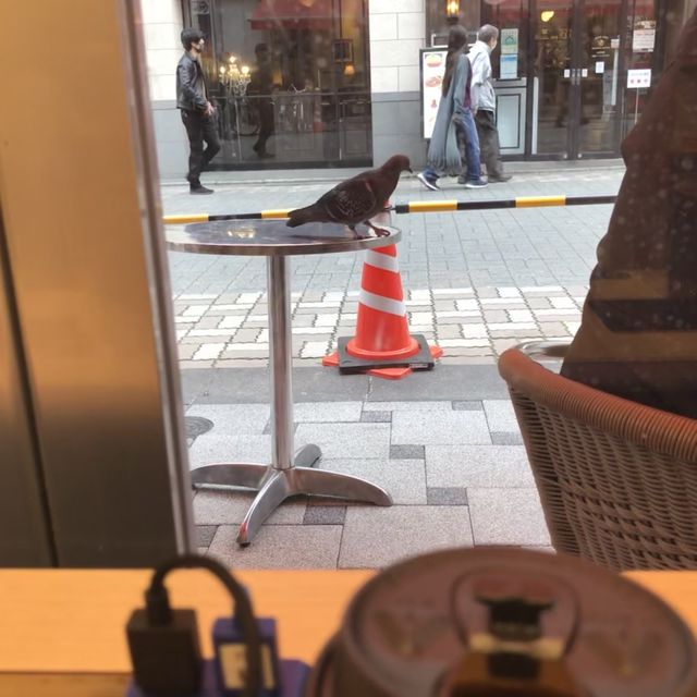 【台東区ぶらり散歩】