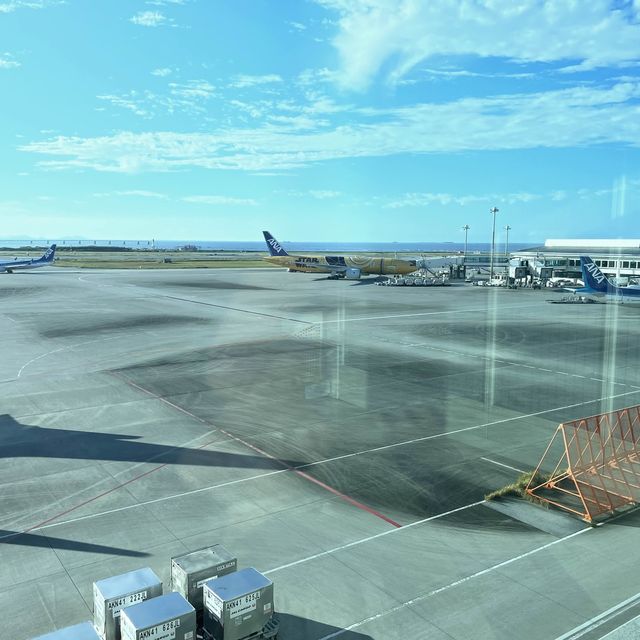 見るだけでも楽しい那覇空港
