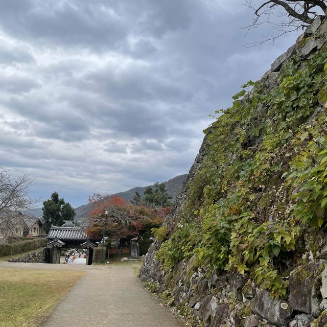 【兵庫県】秋の出石城跡を散策！