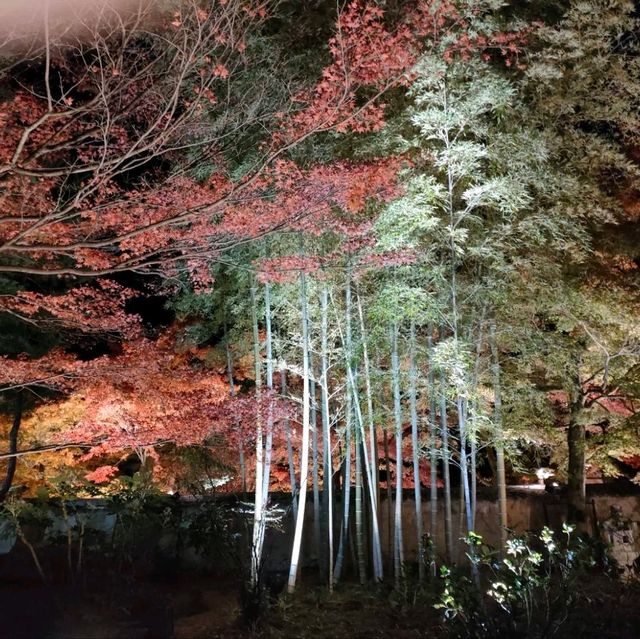 嵐山宝厳院ライトアップ