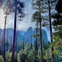 View From Yosemite Valley Floor
