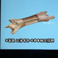 《恐龍展🦕必睇7項嬰幼龍醫護》
