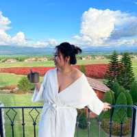 mövenpick khao yai มากี่ครั้งก็ไม่เบื่อ