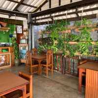 🍽ร้านอาหารปิ่นโต Pinto Restaurant 🍱