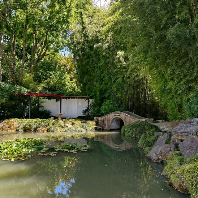A Must See ~ Award-Winning Hamilton Gardens