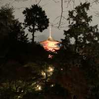 京都紅葉2022  清水寺のライトアップに圧倒される！
