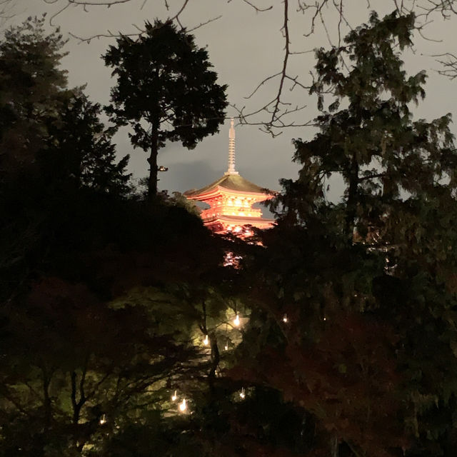 京都紅葉2022  清水寺のライトアップに圧倒される！