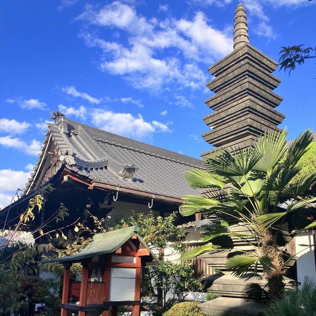 【京都】伏見城ゆかりの山門