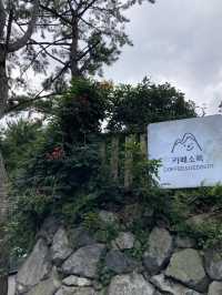 부산 디저트카페 추천