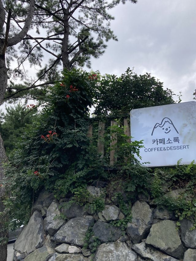 부산 디저트카페 추천