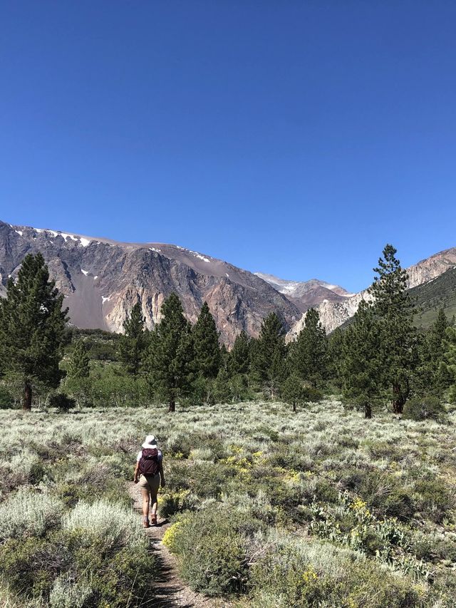 A June Lake Summer! Loop from lake to lake!