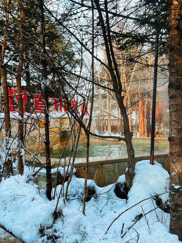 Hot Spring Resort in 长白山⛷❄️