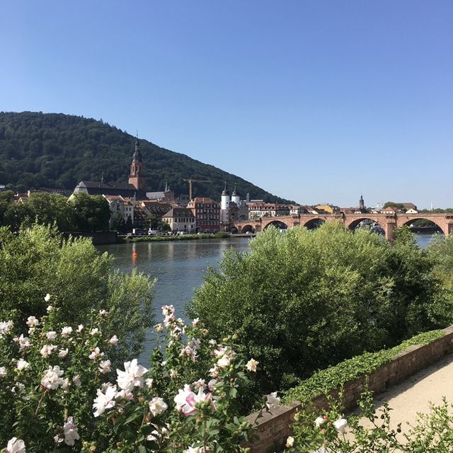 Heidelberg Attractions 