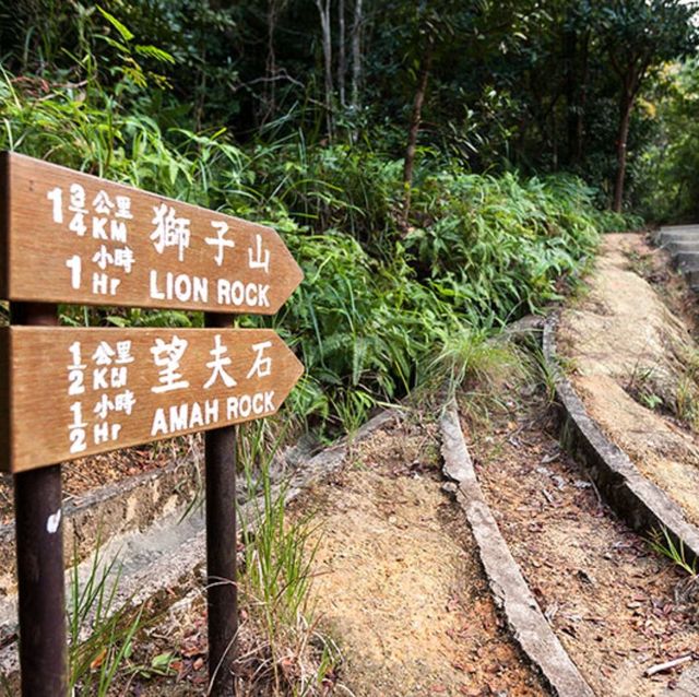 Hiking to the lion