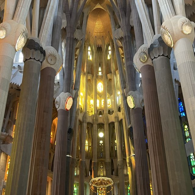가우디의 도시, 바르셀로나 여행 🇪🇸