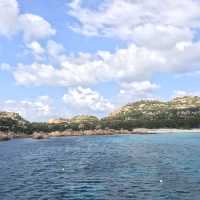blue sardinia