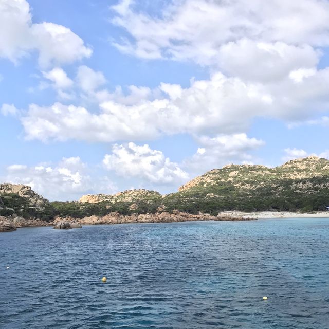 blue sardinia