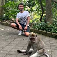 The Incredible Monkey Forest in Bali 
