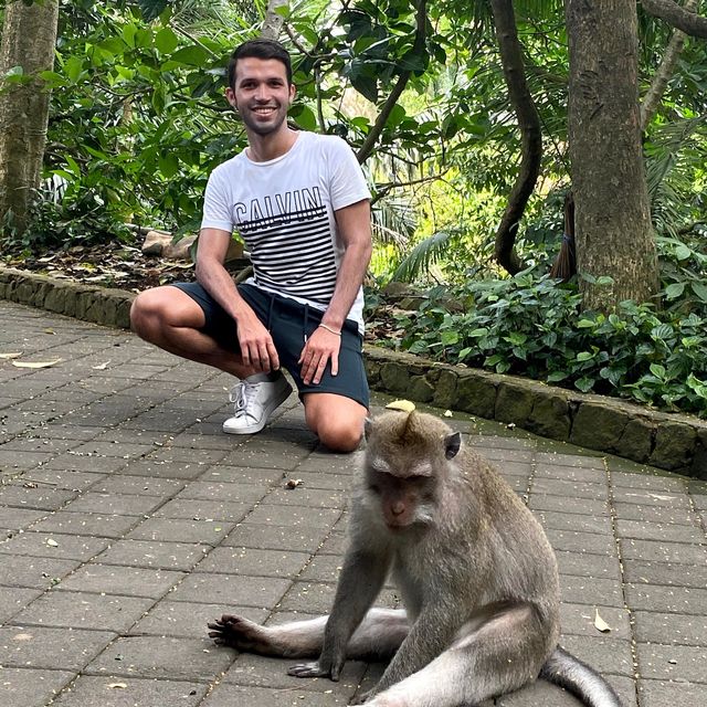 The Incredible Monkey Forest in Bali 