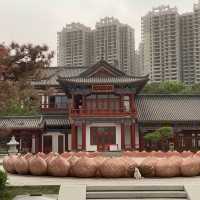 Xingqinggong park (part 2) 