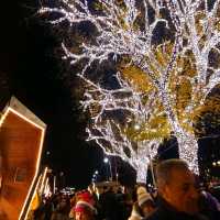 Christmas markets in Merano, Italy