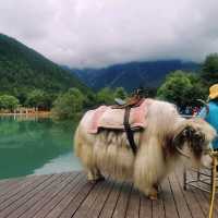 Jade Dragon Snow Mountain 