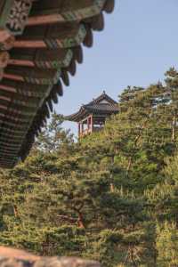 공주 세계문화유산 '공산성'