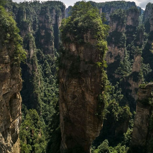 Avatar (Hallelujah) mountain, Zhangjiajie 