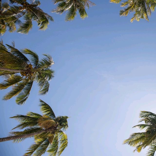 My favorite beach in the Philippines