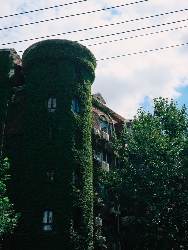 Beautiful Building on Yongjia Lu🌱🌿