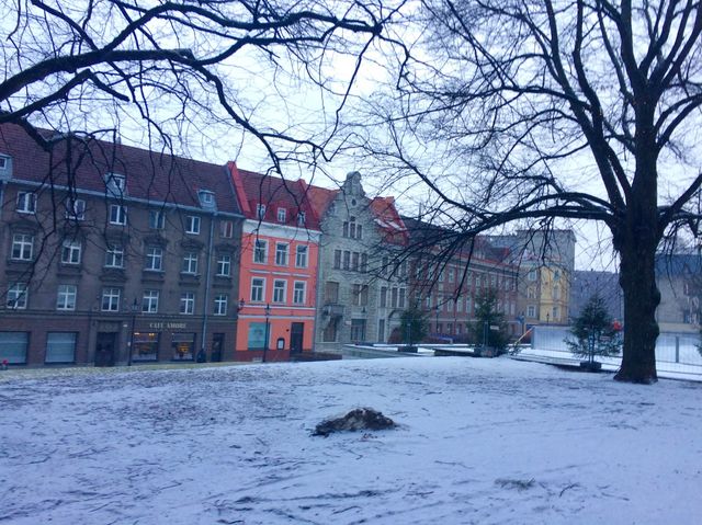 The Old Town of Tallinn, Estonia 🇪🇪✈️